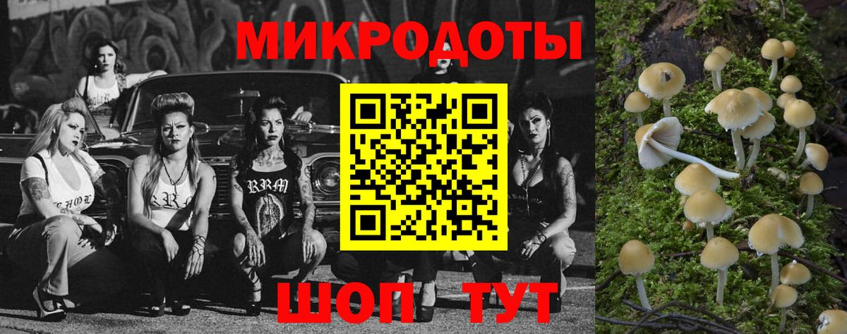 Галлюциногенные грибы прущие грибы  Галлюциногенные грибы Psilocybe  Вход с VPN  Белебей 